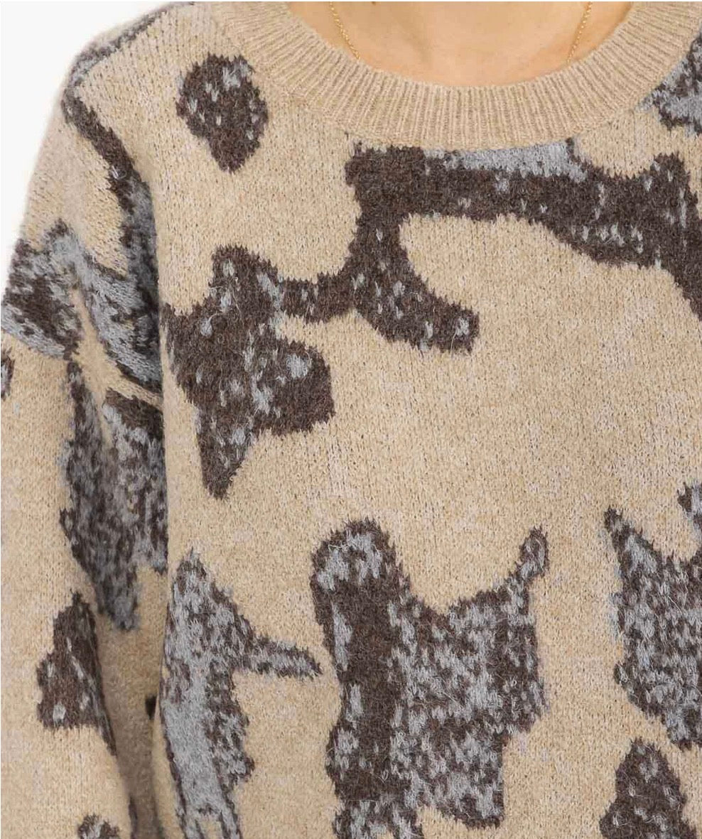 Pullover Print Sweater