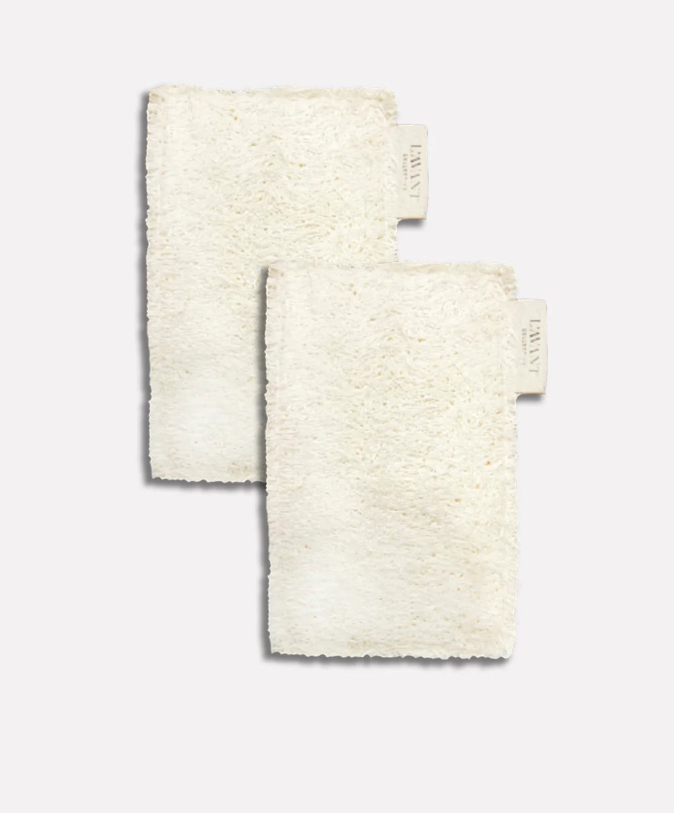 Eco-Friendly Sponges