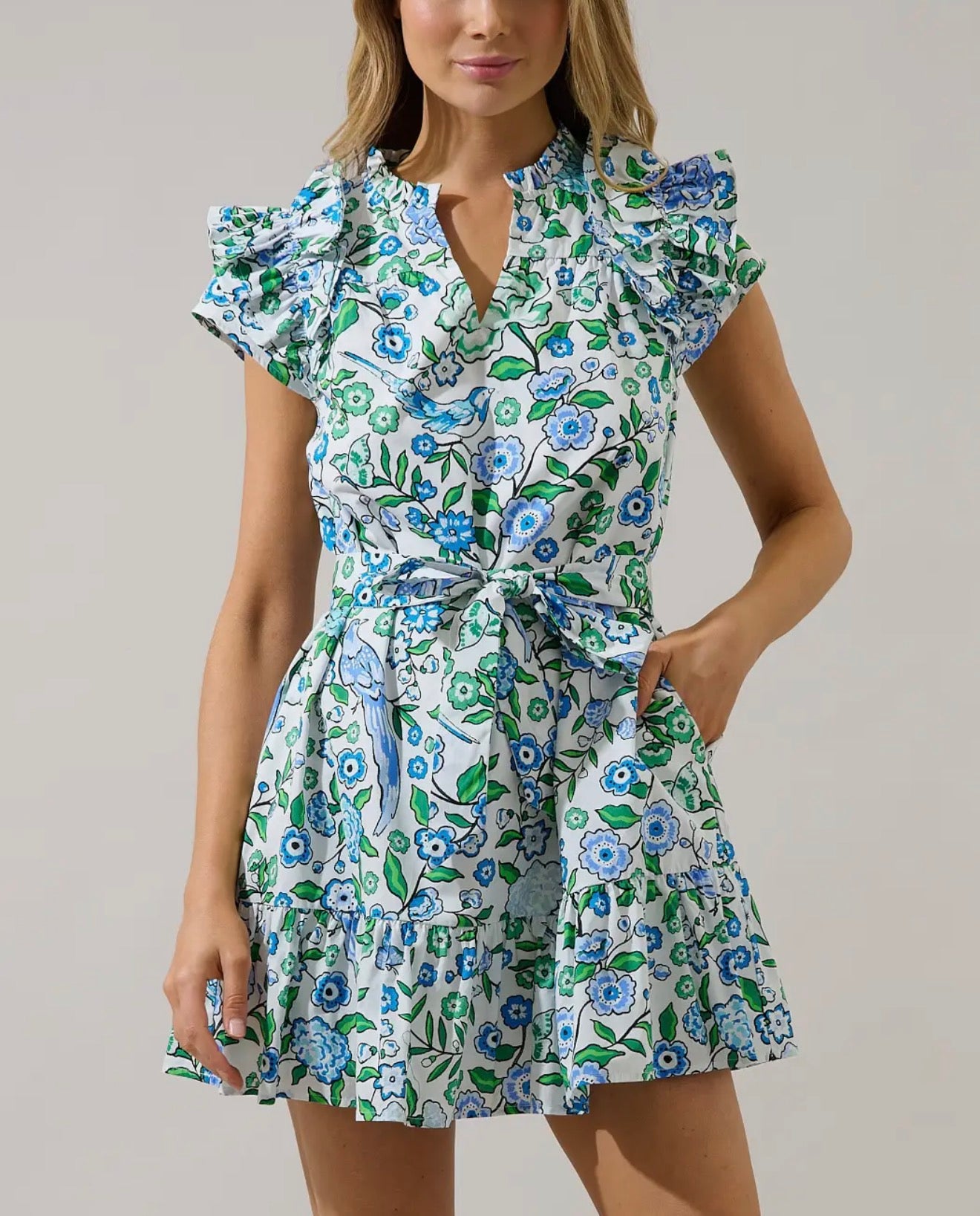 Ivona Ruffle Mini Dress