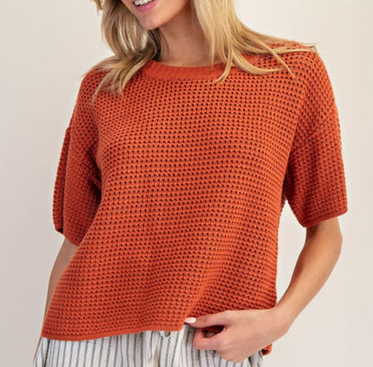 Clay Colored Short Sleeve Sweater