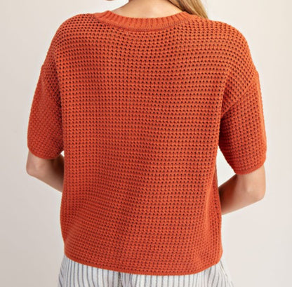Clay Colored Short Sleeve Sweater