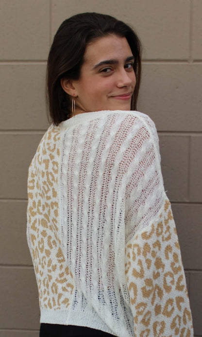 Long Sleeve Pointelles Sweater
